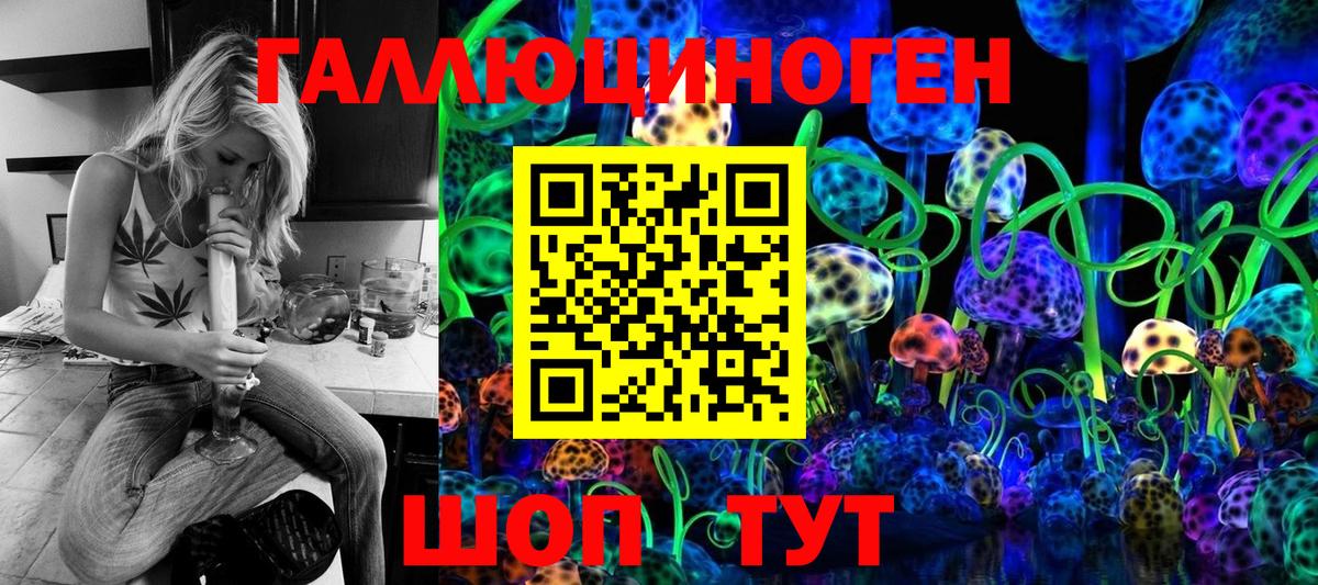 Галлюциногенные грибы Psilocybe Корсаков