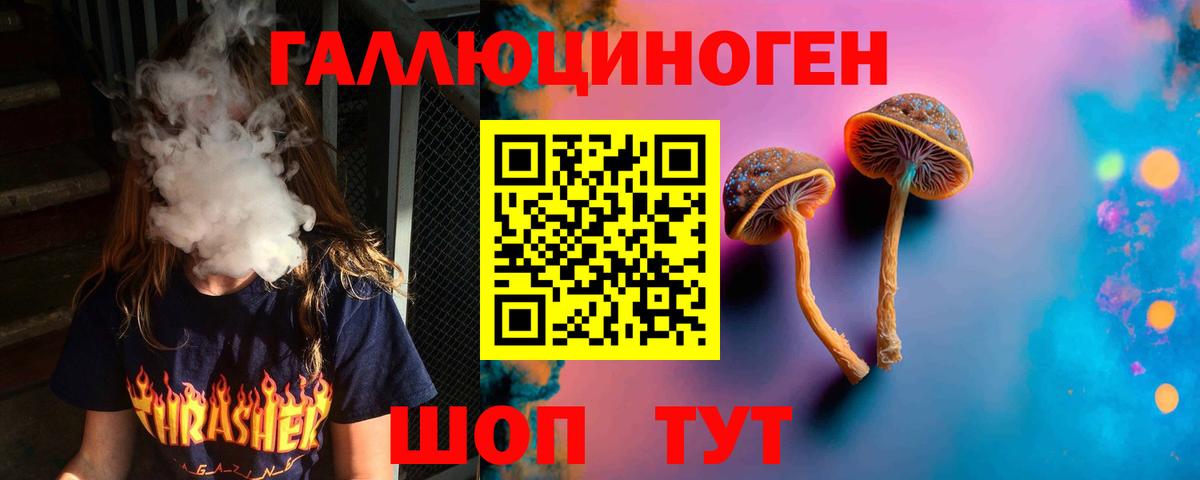 Корсаков  Галлюциногенные грибы GOLDEN TEACHER  Галлюциногенные грибы GOLDEN TEACHER  Вход с VPN 